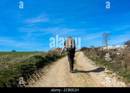 Der Mann geht durch die Felder - die französische Art des `Camino de Santiago` im Winter. Wallfahrten auf ihrer Reise durch Spanien. 2020 Stockfoto